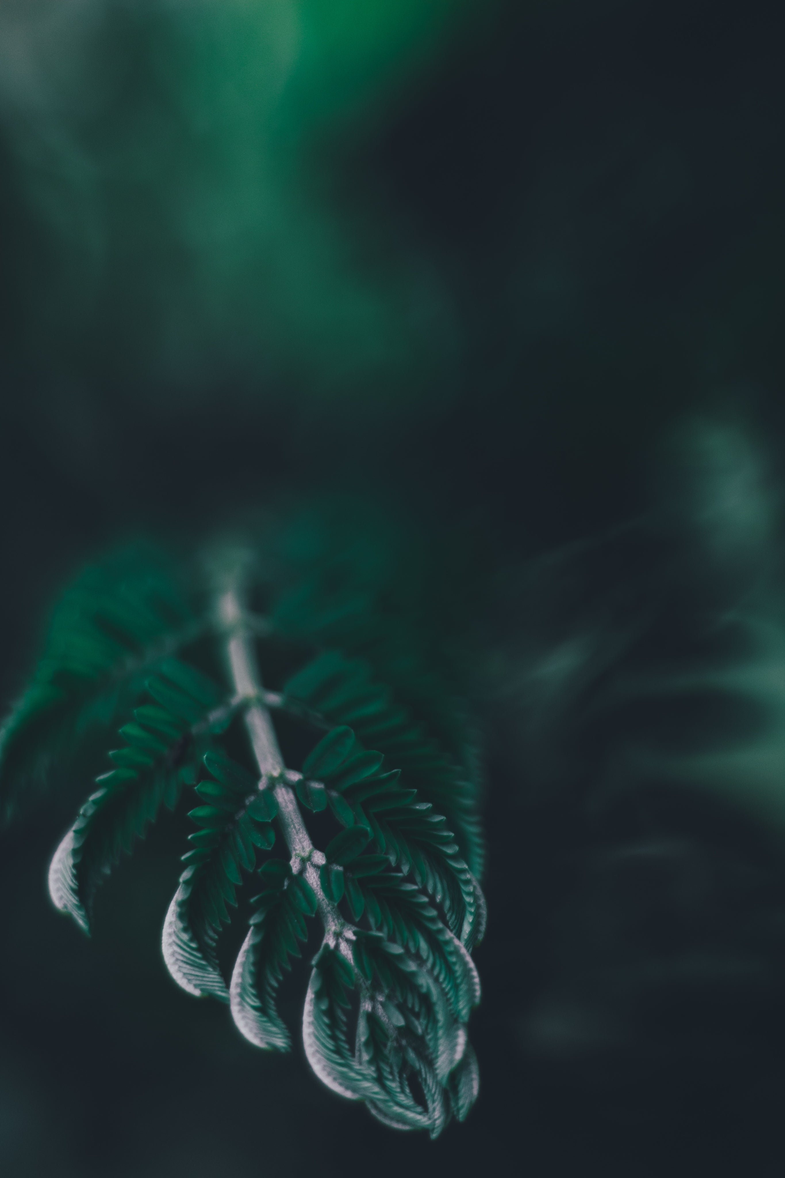 Strategische Beratung in entspannter Atmosphäre: Moody Detailaufnahme – Individuelle Marketing-Lösungen von geschmacksRaum® WERBEAGENTUR