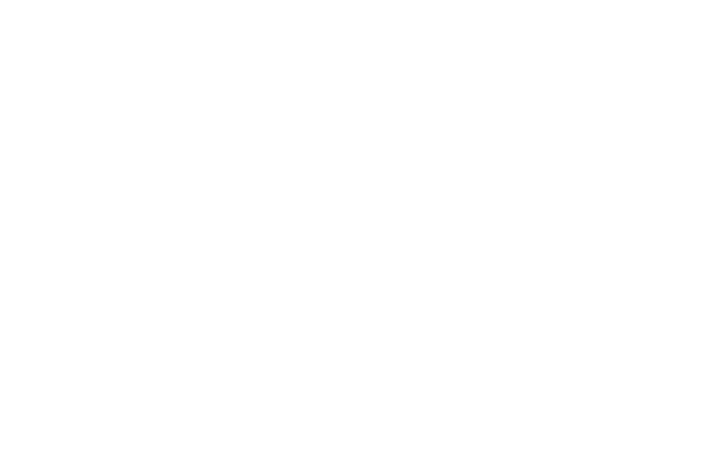 STURZ Busunternehmen Sankt Wolfgang – Branding, Corporate Design, Fotografie, Webdesign – Logo-Version auf dunklem Hintergrund – geschmacksRaum® WERBEAGENTUR