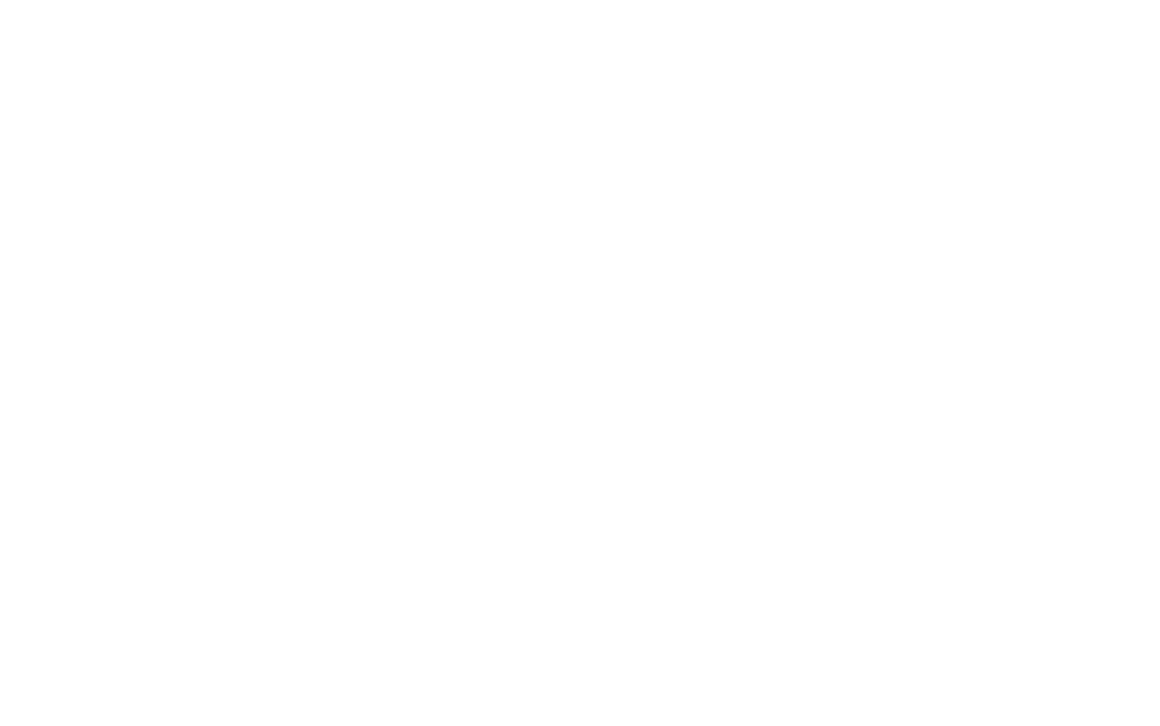 Lex Fiscalis Advisors UG – Unternehmensberatung Buchbach – Branding, Corporate Design & Webdesign – Logo-Version auf dunklem Hintergrund – geschmacksRaum® WERBEAGENTUR