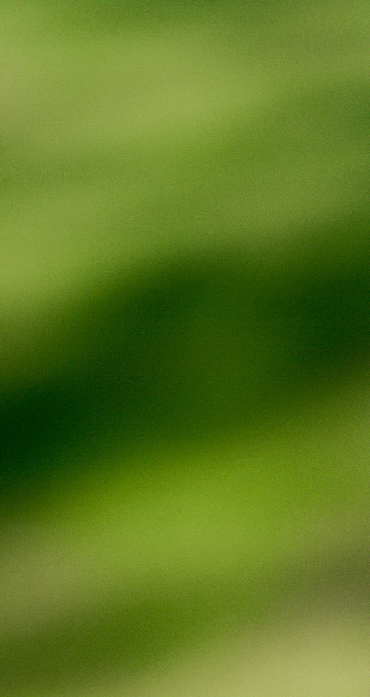 Moody Hintergrund-Bild mit cinematic Lichtsetzung – Repräsentiert die ästhetische Bildsprache der geschmacksRaum® WERBEAGENTUR