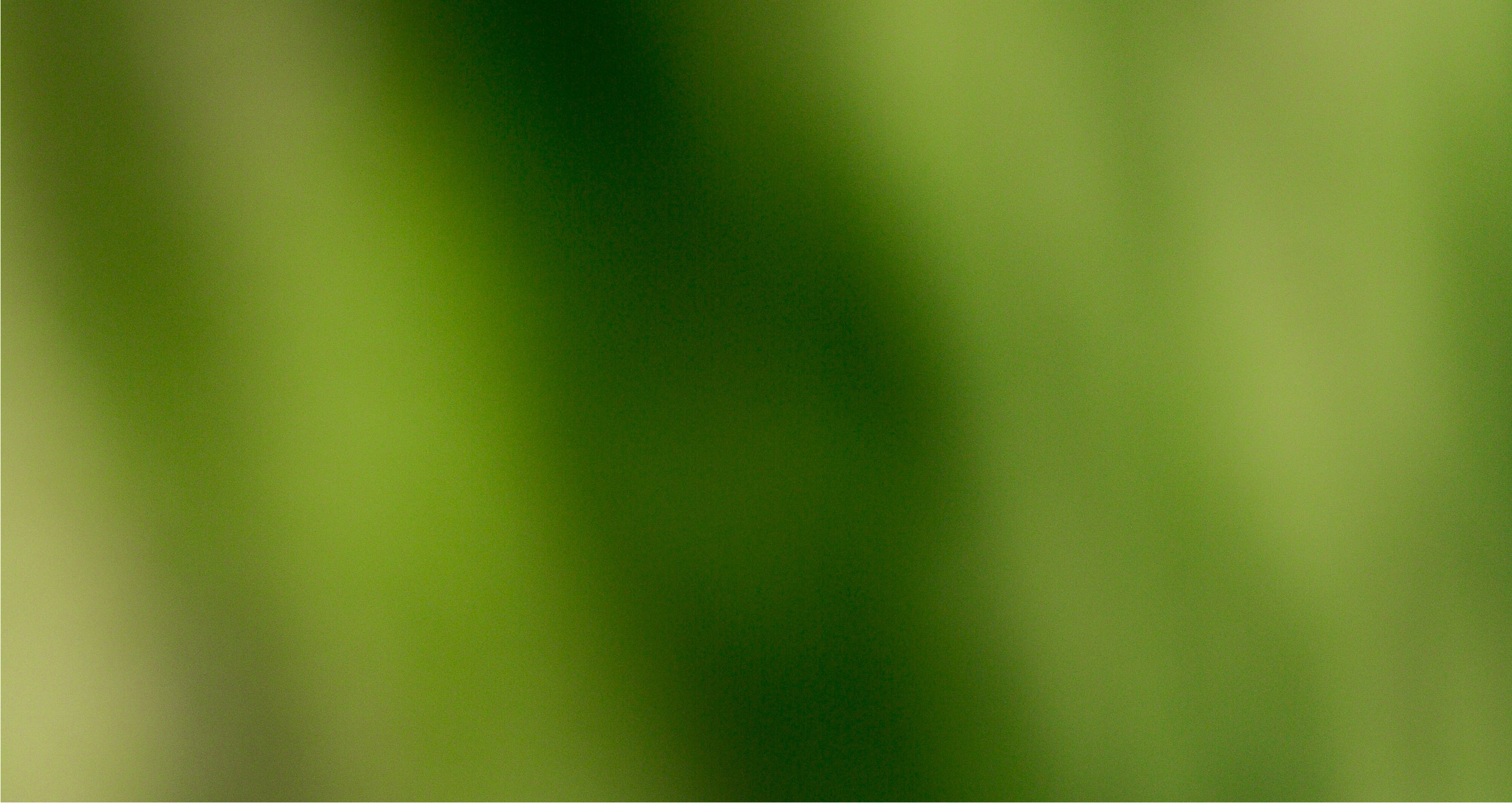 Stimmungsvolles Hintergrund-Motiv für ganzheitliche Kommunikation: Von Print bis Digital – geschmacksRaum® WERBEAGENTUR