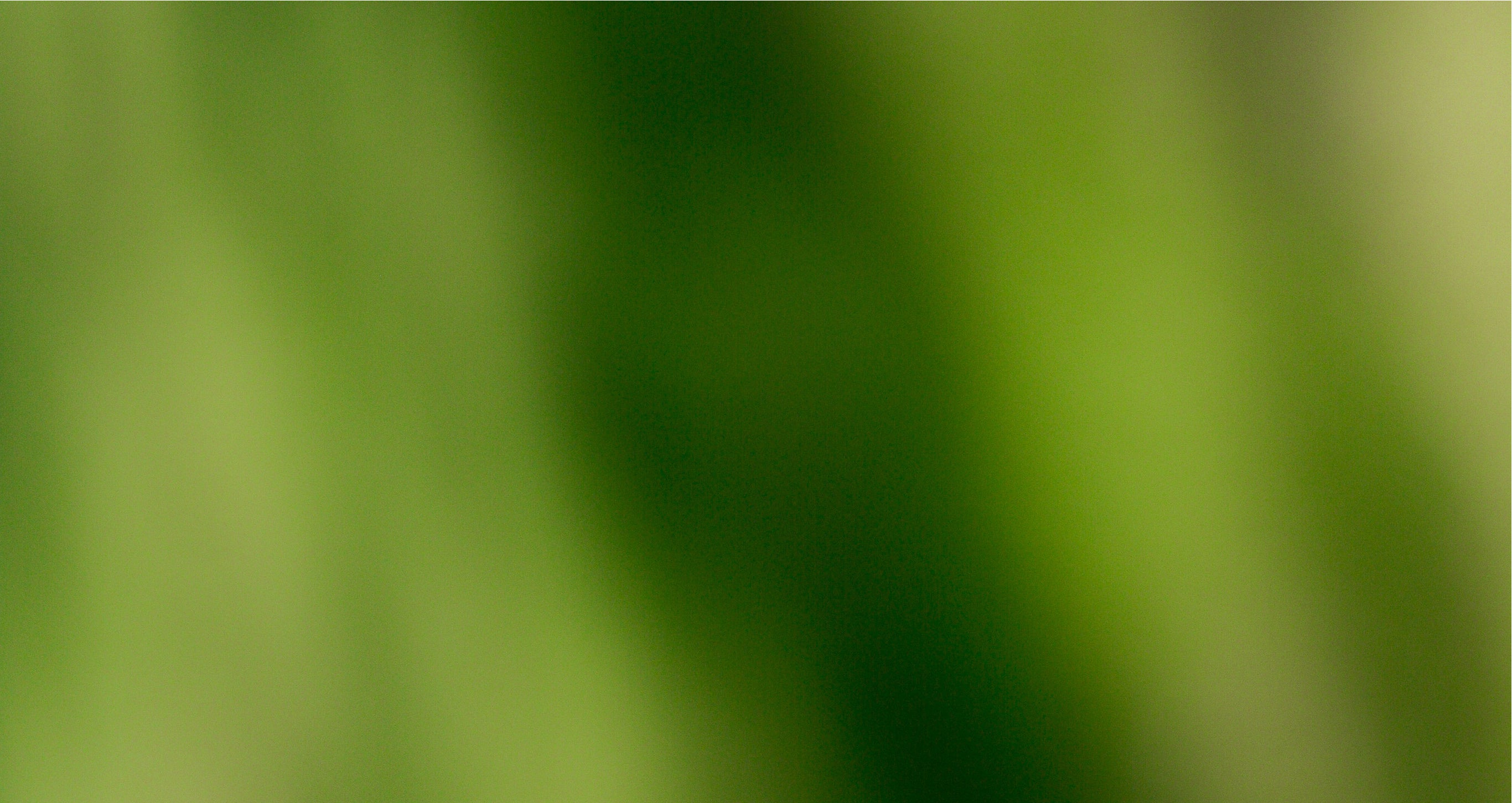 Stimmungsvolles Hintergrund-Motiv mit Fokus auf Textur und Licht – Sinnbild für präzises Design der geschmacksRaum® WERBEAGENTUR