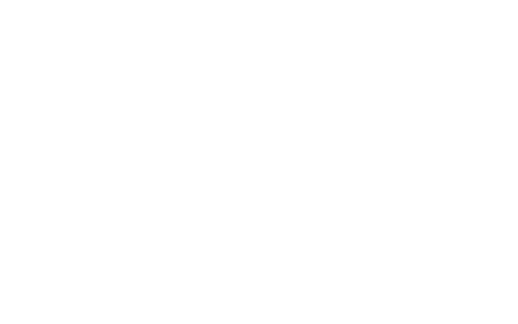 NETZSCH Pumpen & Systeme GmbH – Waldkraiburg – Branding, Corporate Design – Logo-Version auf dunklem Hintergrund – geschmacksRaum® WERBEAGENTUR