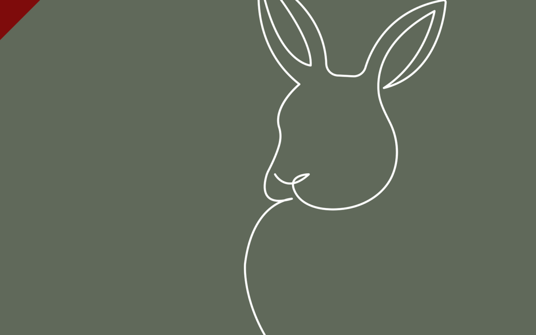 Osterhase vs. Webdesigner: Wer versteckt Elemente besser?